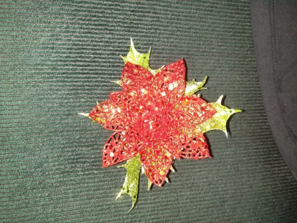 Red, glittered poinsettia on green holly leaves